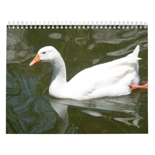 WhiteDuck calendar