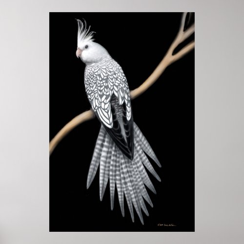 Whitefaced Pearl Pied Cockatiel Poster