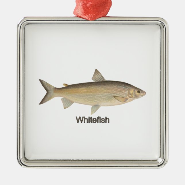 Whitefish Metal Ornament (Front)