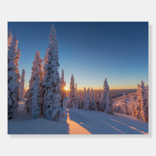 Whitefish, Montana Foam Board