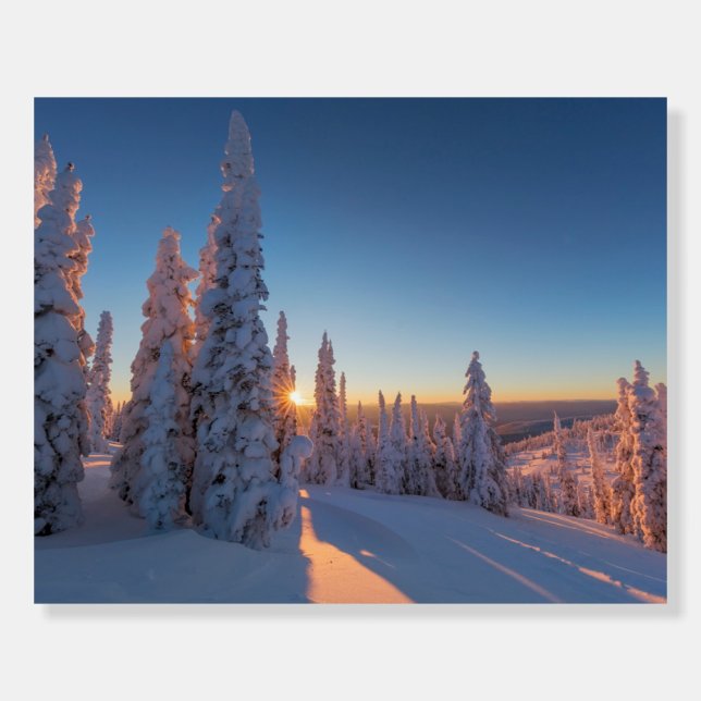 Whitefish, Montana Foam Board (Front)