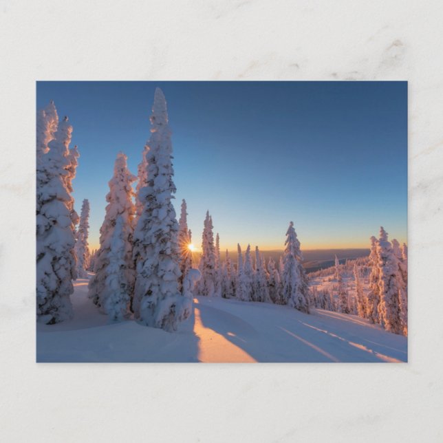 Whitefish, Montana Postcard (Front)