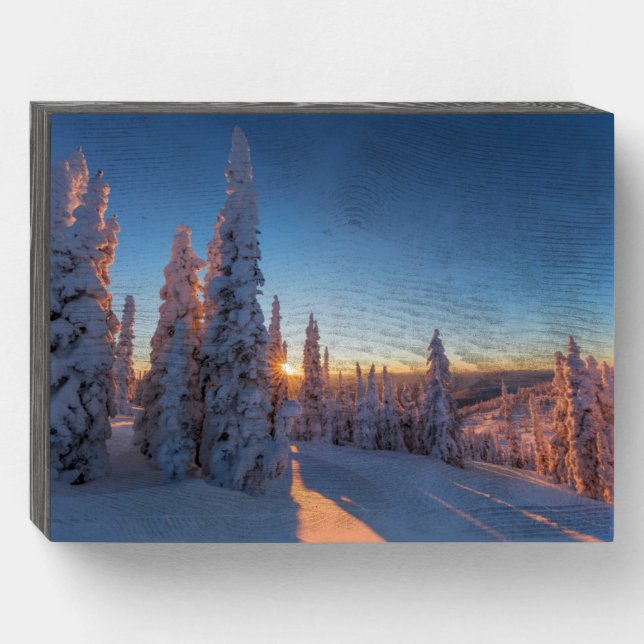 Whitefish, Montana Wooden Box Sign (Front Horizontal)