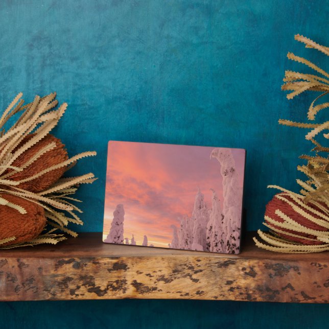 Whitefish Range | Whitefish, Montana Plaque (Side)