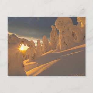 Whitefish Range Whitefish, Montana Postcard