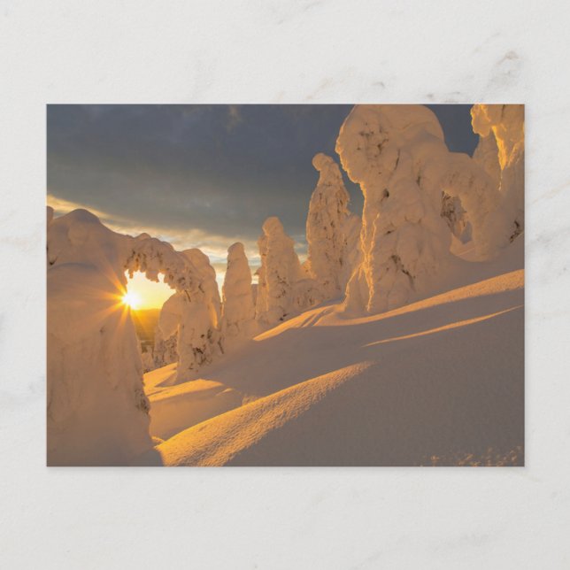 Whitefish Range | Whitefish, Montana Postcard (Front)