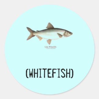Whitefish stickers