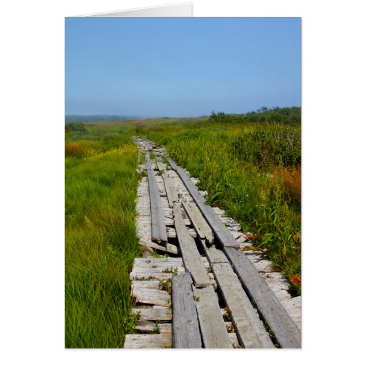 Whitehead Island, NB Cards (Front)