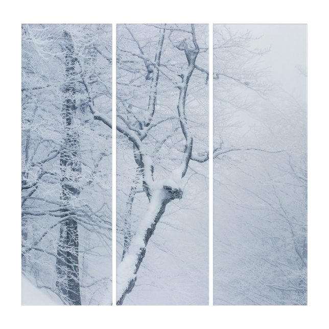 Whiteout Triptych (Front)