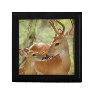 Whitetail Buck And Fawn Bonding Keepsake Box