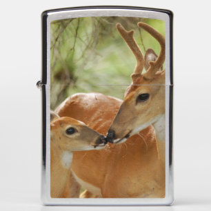 Whitetail Buck And Fawn Bonding Zippo Lighter