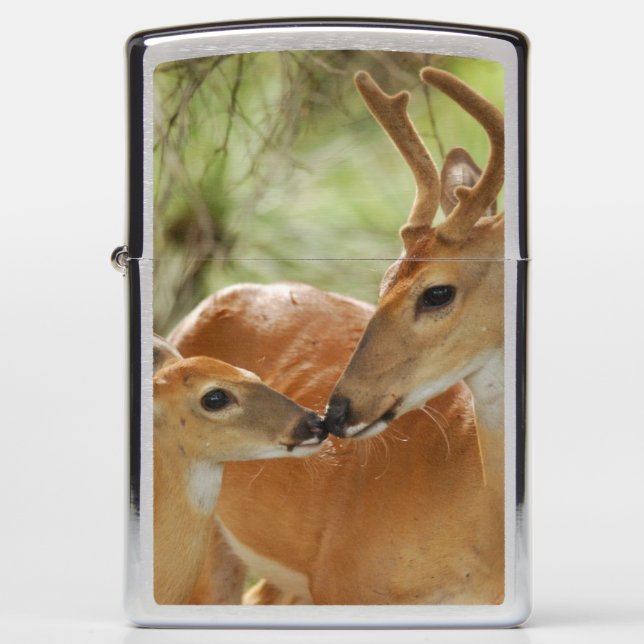 Whitetail Buck And Fawn Bonding Zippo Lighter (Front)