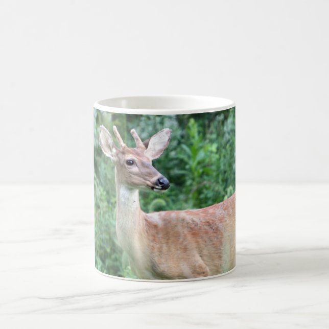 Whitetail Buck Coffee Mug (Center)