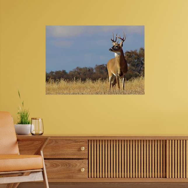 Whitetail Buck Framed Print (Living Room 2)