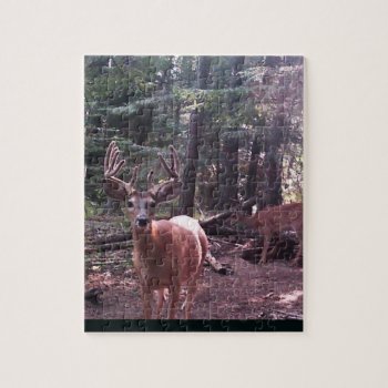 Whitetail  Buck In Velvet Jigsaw Puzzle by Artnmore at Zazzle