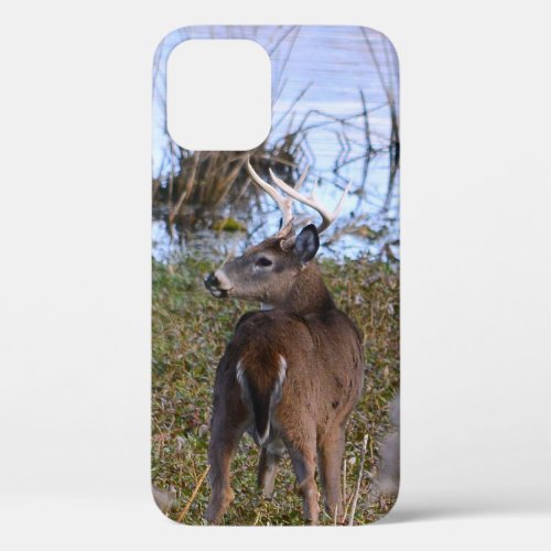 Whitetail Buck iPhone  iPad case