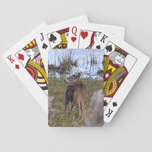 Whitetail Buck Playing Cards