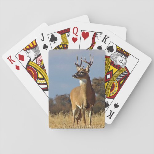 Whitetail Buck Playing Cards