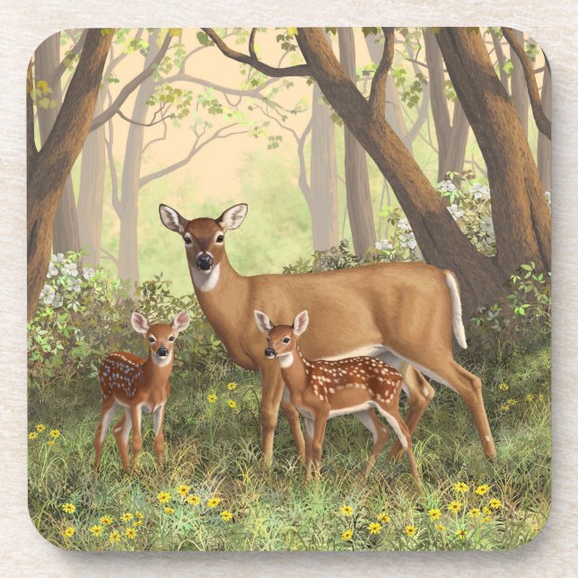 Whitetail Deer and Cute Twin Fawns In Spring Drink Coaster (Front)
