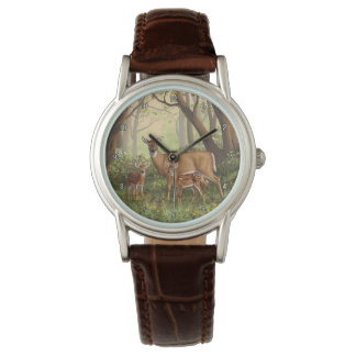 Whitetail Deer and Cute Twin Fawns In Spring Watch