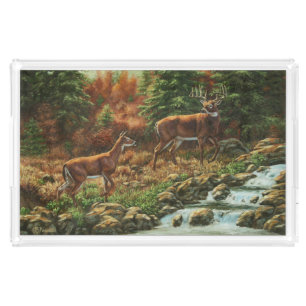Whitetail Deer and Waterfall Acrylic Tray