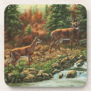 Whitetail Deer and Waterfall Drink Coaster