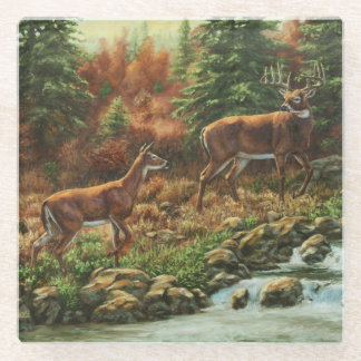Whitetail Deer and Waterfall Glass Coaster