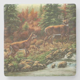 Whitetail Deer and Waterfall Stone Coaster