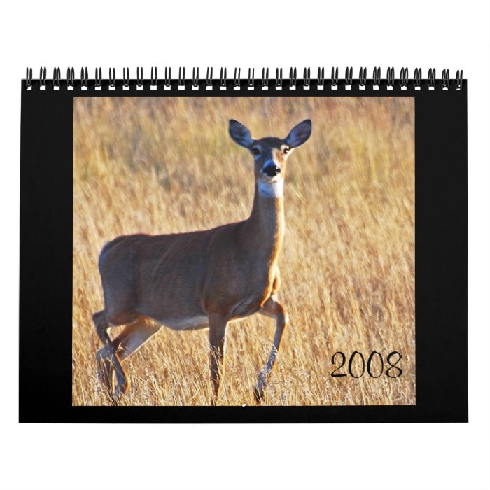Whitetail Deer at the Dunes Calendars