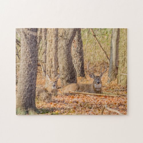 Whitetail Deer Buck And Doe Jigsaw Puzzle