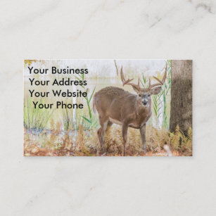 Whitetail deer buck business card