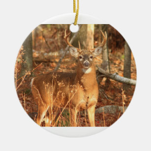 Whitetail Deer Buck Ceramic Ornament