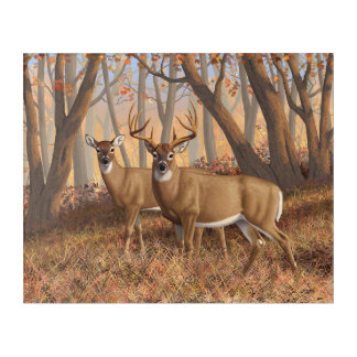 Whitetail Deer Buck & Doe Autumn Maple Woods Acrylic Print
