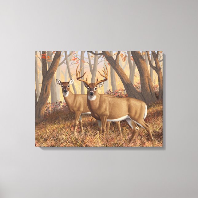 Whitetail Deer Buck & Doe Autumn Maple Woods Canvas Print (Front)