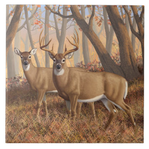Whitetail Deer Buck & Doe Autumn Maple Woods Ceramic Tile
