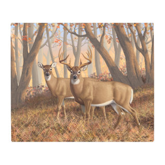 Whitetail Deer Buck & Doe Autumn Maple Woods Metal Print