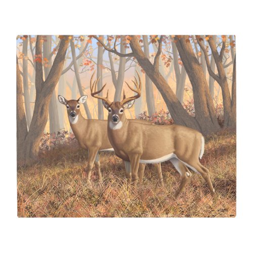 Whitetail Deer Buck  Doe Autumn Maple Woods Metal Print