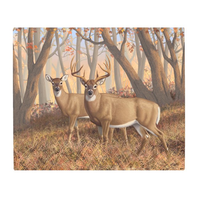 Whitetail Deer Buck & Doe Autumn Maple Woods Metal Print (Front)