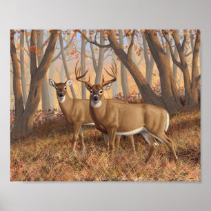 Whitetail Deer Buck & Doe Autumn Maple Woods Poster