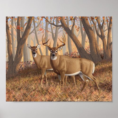 Whitetail Deer Buck  Doe Autumn Maple Woods Poster