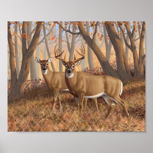 Whitetail Deer Buck & Doe Autumn Maple Woods Poster (Front)