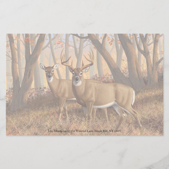 Whitetail Deer Buck & Doe Autumn Maple Woods Stationery (Front)