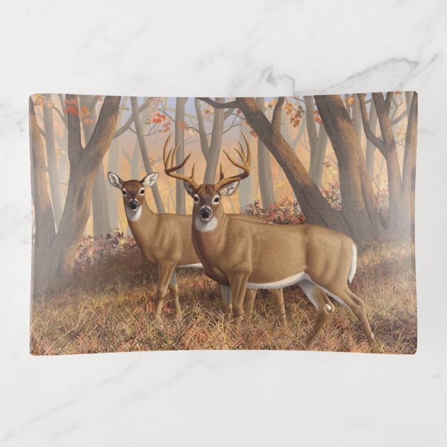 Whitetail Deer Buck & Doe Autumn Maple Woods Trinket Tray (Front)