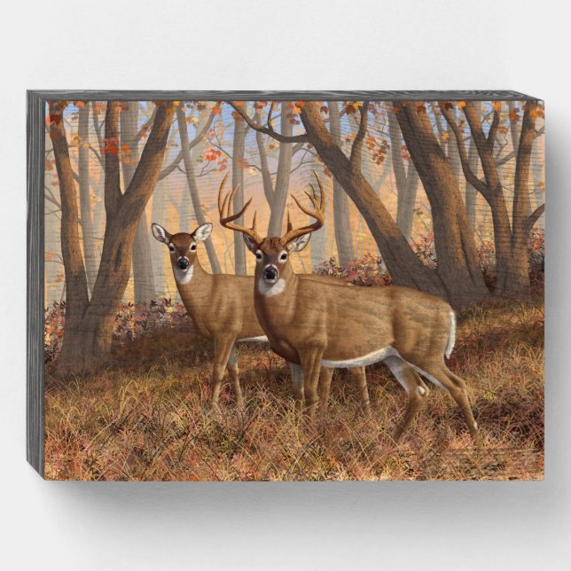 Whitetail Deer Buck & Doe Autumn Maple Woods Wooden Box Sign (Front Horizontal)