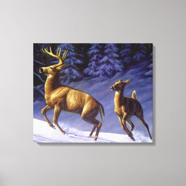 Whitetail Deer Buck & Doe in Winter Snow Canvas Print (Front)