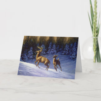 Whitetail Deer Buck & Doe in Winter Snow Card