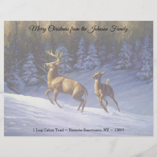 Whitetail Deer Buck & Doe in Winter Snow Letterhead
