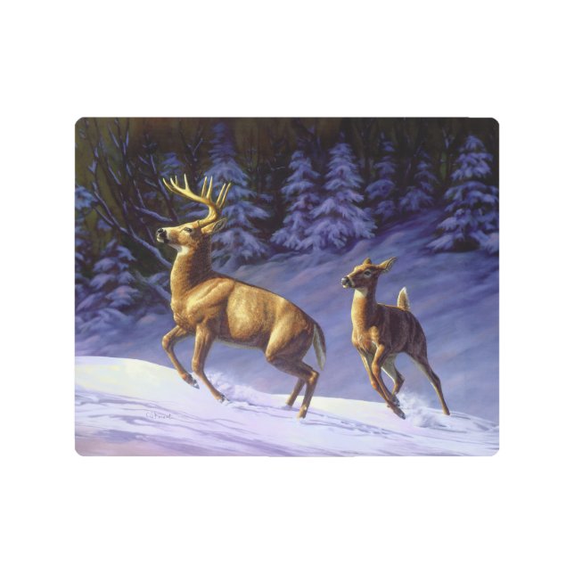 Whitetail Deer Buck & Doe in Winter Snow Metal Print (Front)
