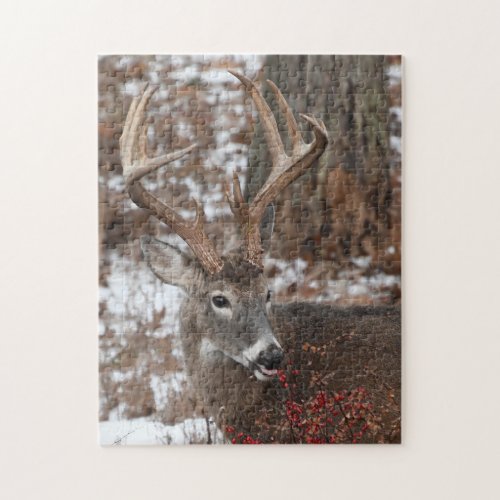 Whitetail Deer Buck Eating Red Berries Jigsaw Puzzle