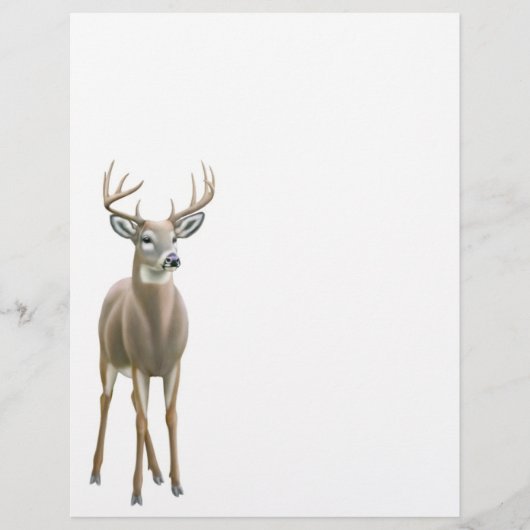 Whitetail Deer Buck Letterhead (Front)